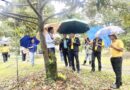 ข่าว เกษตรกรสวนทุเรียนตราด เข้าประกวดเกษตรกรดีเด่น สาขาอาชีพทำสวน ระดับประเทศ ประจำปี 2568