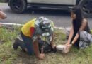 นครนายก – ชาวบ้านสงสารพบหมาจรหัวติดกระป๋องนาน 5 วันไม่ได้กินอาหาร