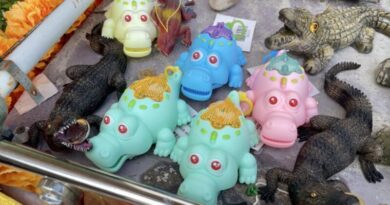 นครนายก – สุดแปลก แก้บนด้วยจระเข้ของเล่นเด็ก สีหวานๆ สะดุดตาแก่ผู้พบเห็น