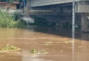 อ่างทอง – สถานการณ์น้ำเจ้าพระยาเพิ่มขึ้นอย่างต่อเนื่องหลังเขื่อนเจ้าพระยาระบายน้ำเพิ่ม ในอัตรา 1,460 ลูกบาศก์เมตร/วินาที