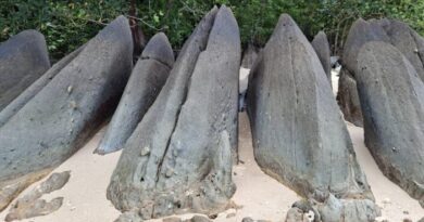 พังงา-พบกลุ่มหินแปลกวางบนชายหาดเขาสะบ้า จุดเช็คอินแห่งใหม่ย่านเขาหลัก มีเรื่องเล่าอาถรรพ์