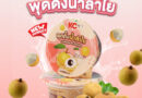 SUN เปิดตัว “พุดดิ้งน้ำลำไย” ตรา KC ต้อนรับลมหนาว เติมความหวานละมุนจากผลไม้ไทยแท้