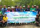ประจวบคีรีขันธ์ – SVL กรุ๊ป สานพลังรัฐ-ชุมชน ดูแลสิ่งแวดล้อม ปลูกต้นไม้กว่า 600 ต้น ปลูกป่าเพิ่มเย็น อ.บางสะพาน