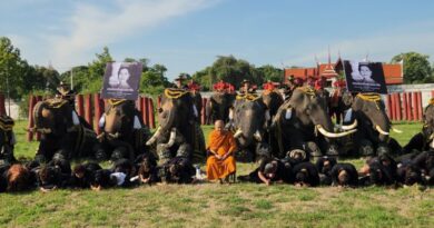 พสกนิกรและช้างอยุธยาน้อมรำลึกในพระมหากรุณาธิคุณ สมเด็จพระนางเจ้าสิริกิติ์ พระบรมราชชนนีพันปีหลวง ภายหลังเสด็จสวรรคต