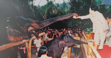 จังหวัดลพบุรี – สนองพระราชปณิธานพระพันปีหลวงที่นำช้างคืนสู่ป่าซับลังกา