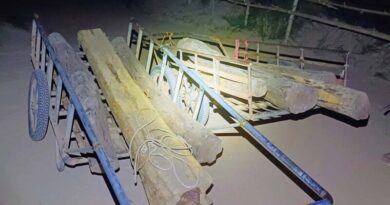 มุกดาหาร กองกำลังสุรศักดิ์มนตรี สนธิกำลังตรวจยึดไม้พะยูง 14 ท่อนลักลอบส่งออก