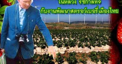 พิษณุโลก🙏 ขอเป็นข้ารองพระบาททุกชาติไป 🙏 ✨ สืบสาน รักษา และต่อยอด สู่การท่องเที่ยวชุมชนอย่างยั่งยืน โดยชุมชนบ้านร่องกล้า ✨ ดำเนินงานร่วมกับ สภาอุตสาหกรรมท่องเที่ยวจังหวัดพิษณุโลก, สมาคมสหพันธ์ท่องเที่ยวภาคเหนือจังหวัดพิษณุโลก, และ ชมรมปลูกสตรอว์เบอร์รีพันธุ์พระราชทาน 80