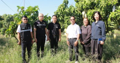 อ่างทอง ชาวสวนเฮมะม่วงราคาพุ่งอานิสงส์ปิดด่านทำให้มะม่วงจากประเทศเพื่อนบ้านนำเข้ามาไม่ได้ความต้องการในประเทศมีมากขึ้น หน่วยงานเกษตร ฯ พร้อมผลักดันเกษตรกรรวมแปลงใหญ่ – รับมาตรฐาน GAP